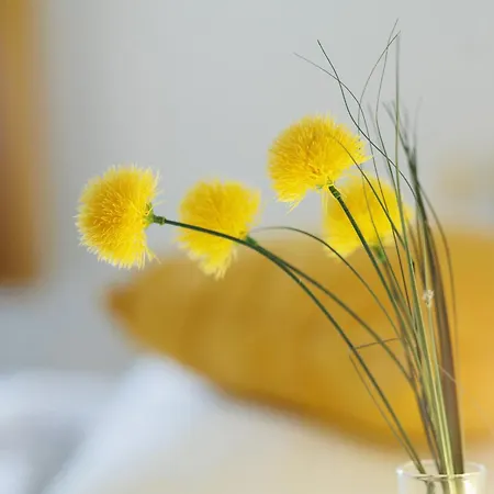 Ferienhaus Db Staycation *